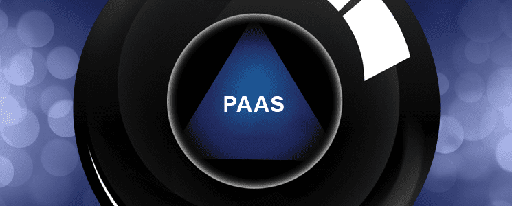 The Year of the PaaS