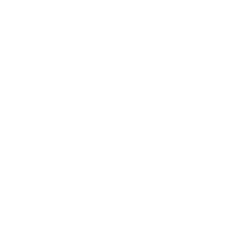 iconSolutionSecure
